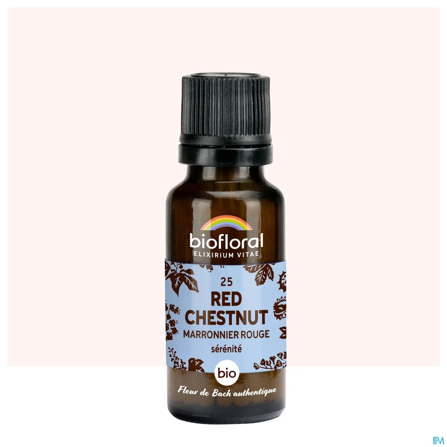 Castagna Rossa 20 mL