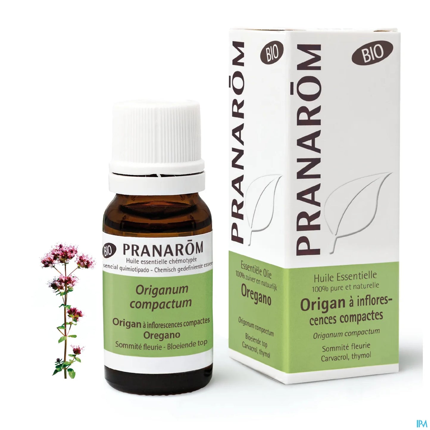 Organic Compact Oregano Essential Oil 10ml