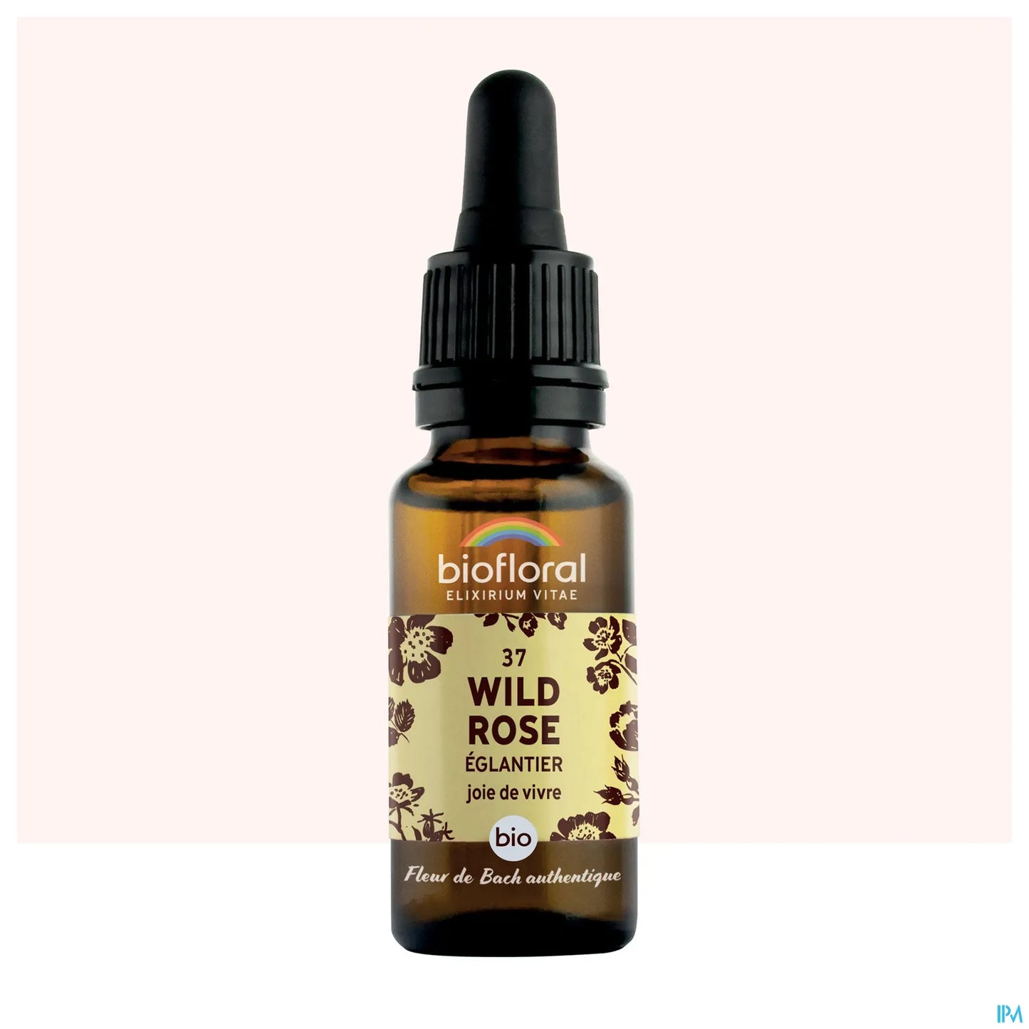 Eglantier Wild Rose 20 mL