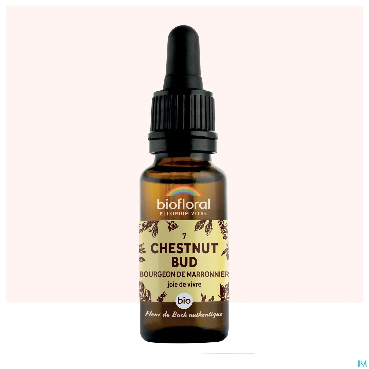 Chestnut Bud 20 mL