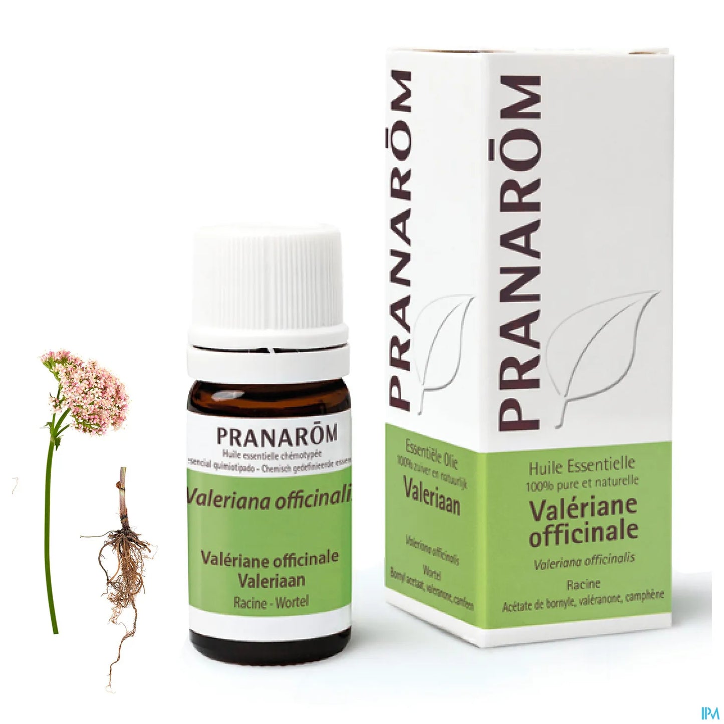 Huile Essentielle Valériane Officinale 5 mL