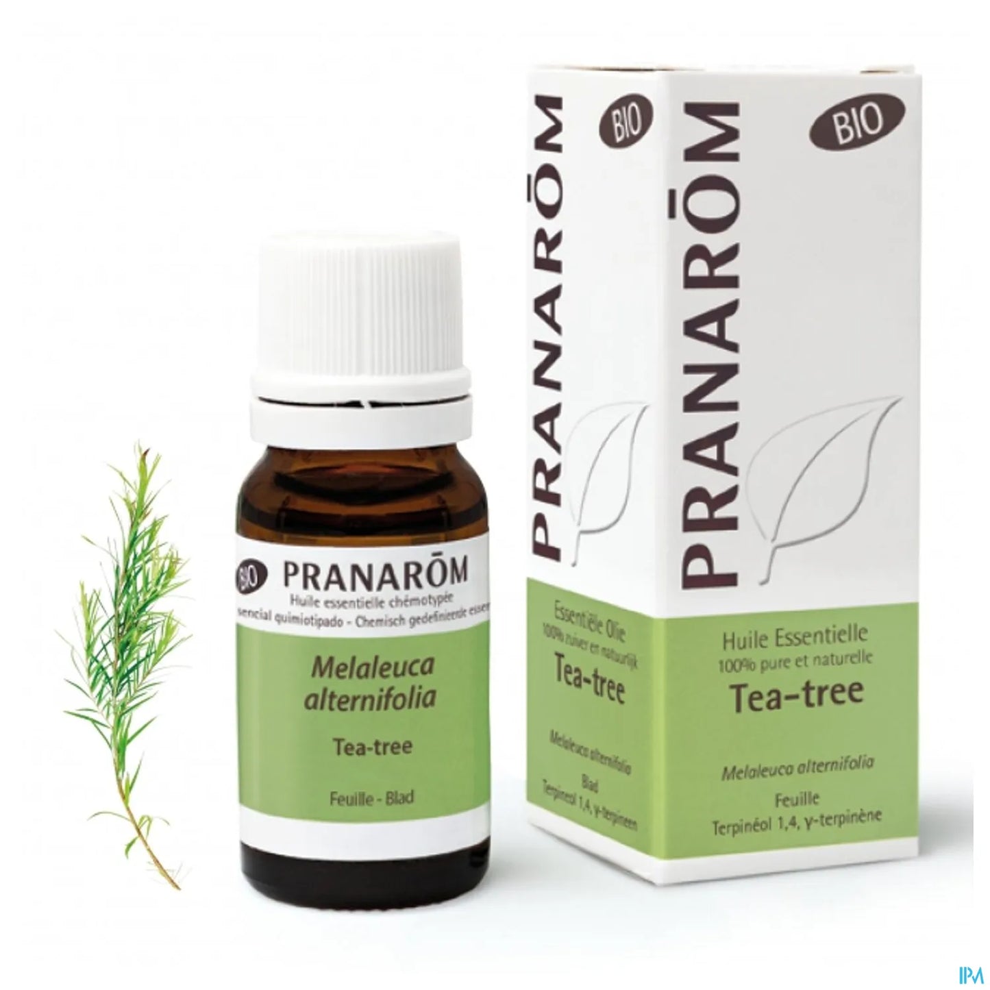 Olio essenziale di melaleuca biologico 10 ml