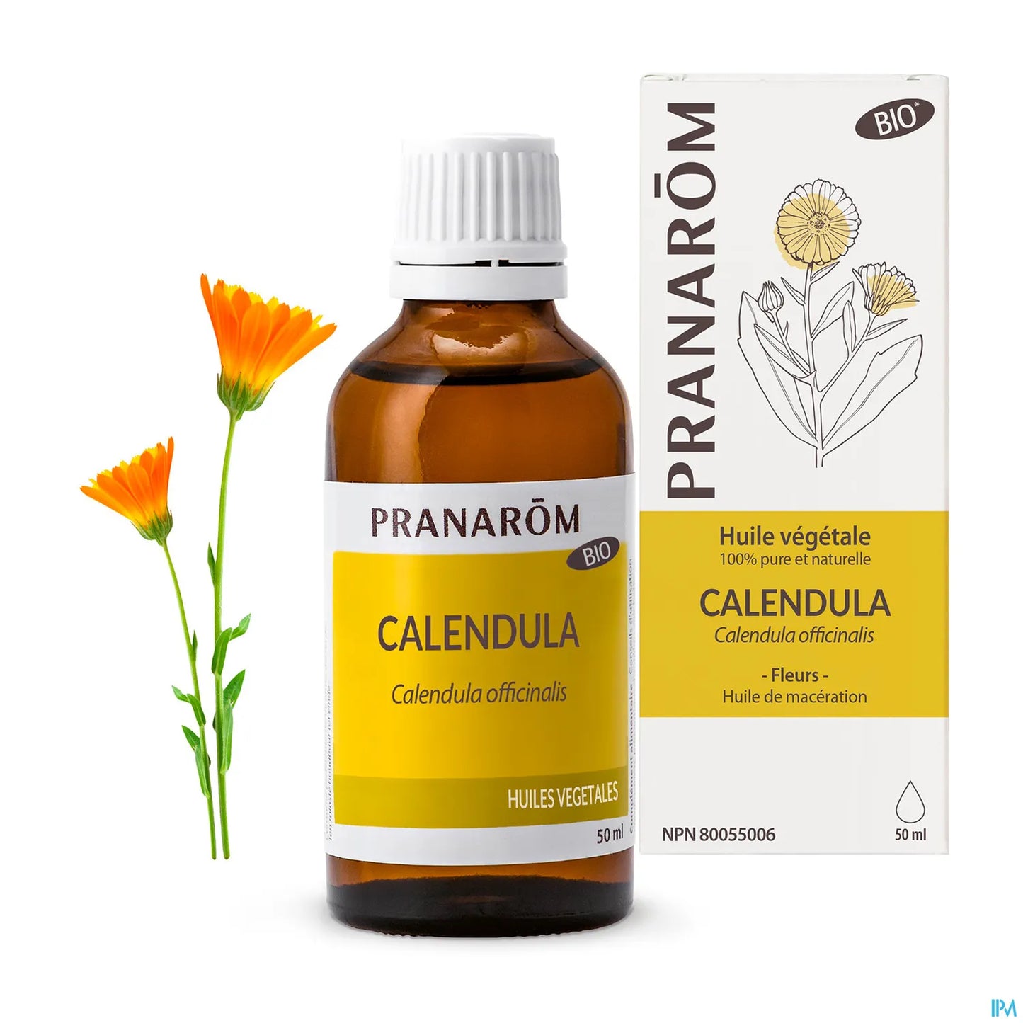 Huile Végétale Calendula Bio Flacon 50ml