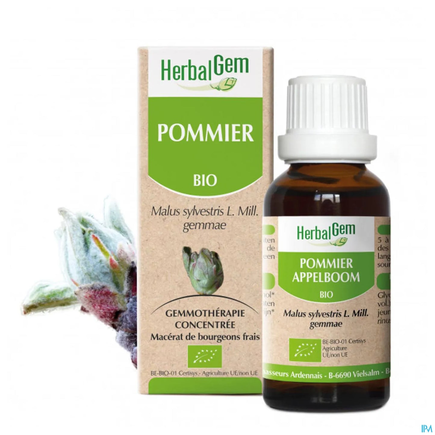 Macerato di melo biologico 30 ml