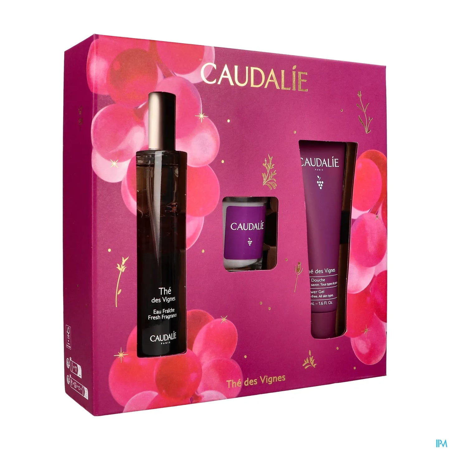Coffret Thé des Vignes 50 mL
