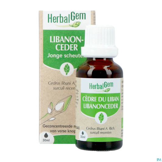 Cedro del Libano Gemme Biologiche 30 mL