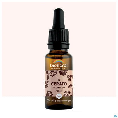 Bach Flower Cerato Plumbago 20 mL