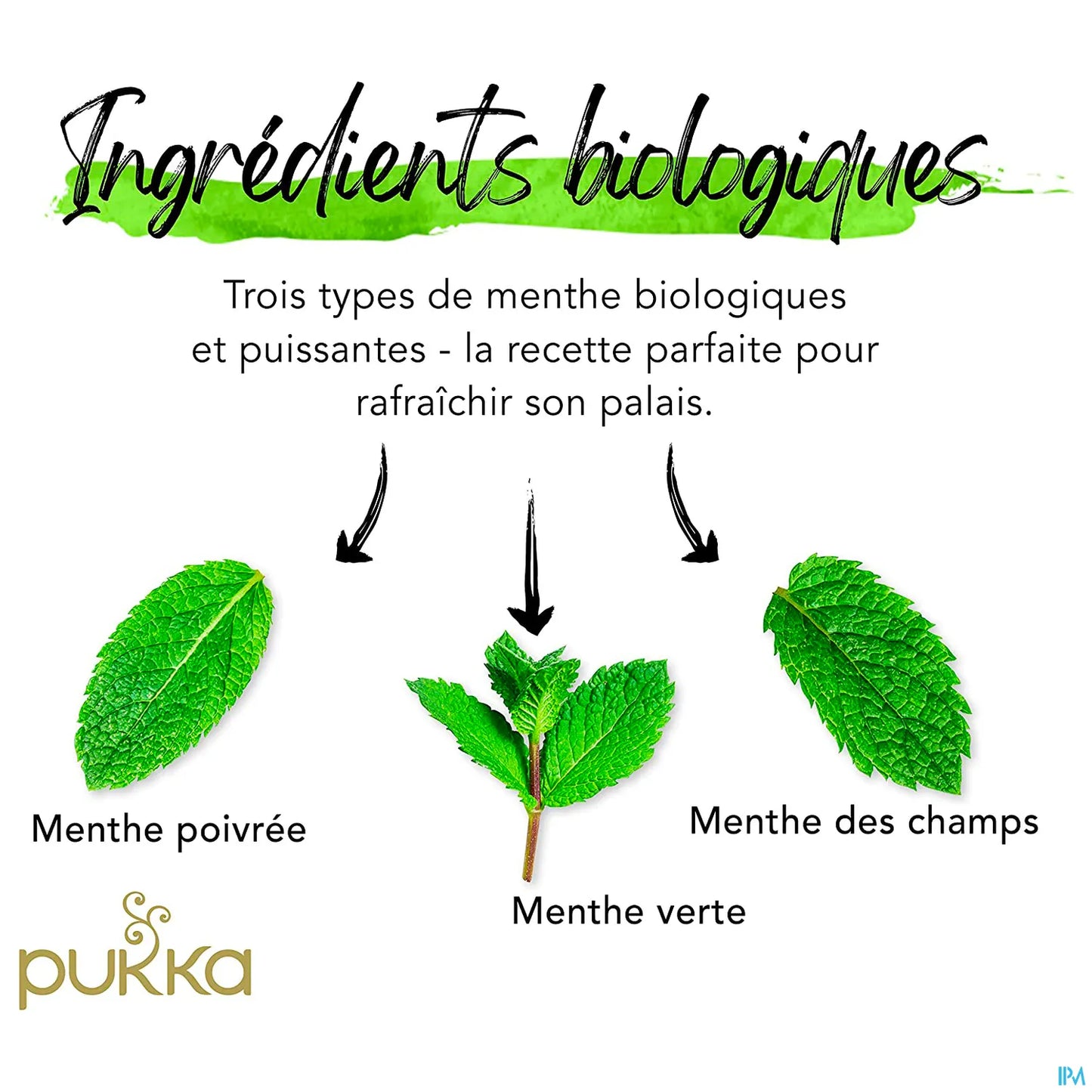Infusion Trois Menthes Bio 20 Sachets