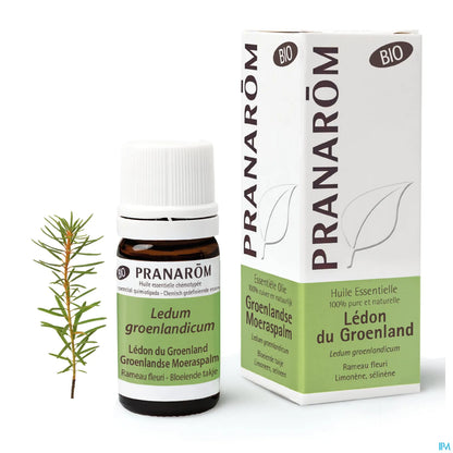 Organic Greenland Ledum Essential Oil 5 mL