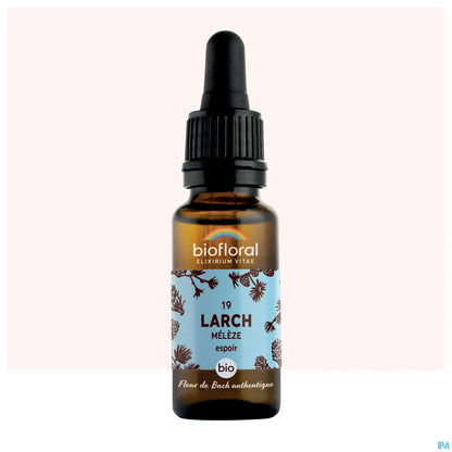 Bach Flower Larch 20 mL