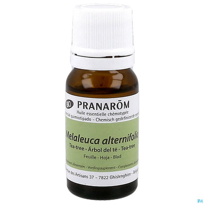 Olio essenziale di melaleuca biologico 10 ml