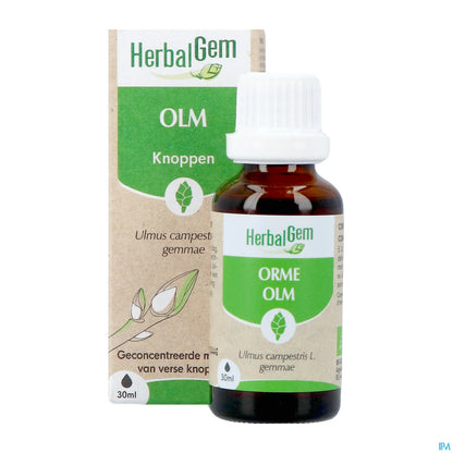 Macerato di olmo biologico Madre 30 ml