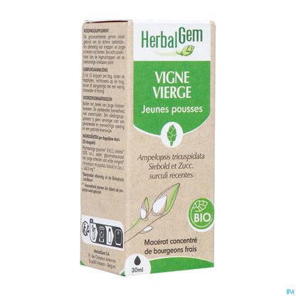Virginia Creeper Bud Macerate Organic 30 mL