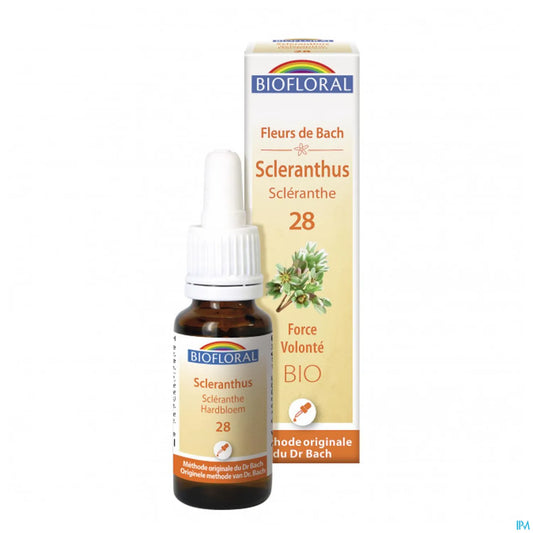 Scleranthus Fleur de Bach 20 mL