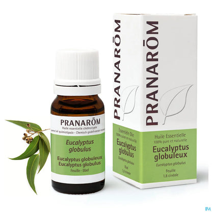 Eucalyptus Globulus Essential Oil 10 mL
