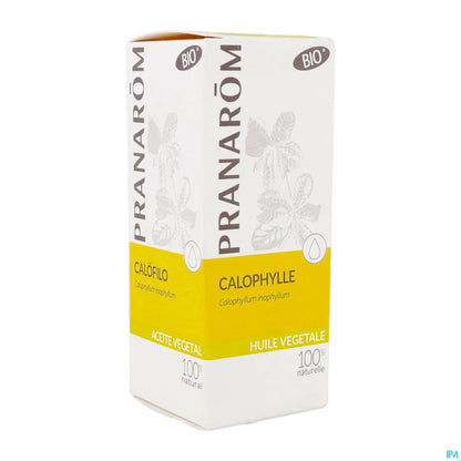 Olio vegetale di Calophyllum biologico 50 ml