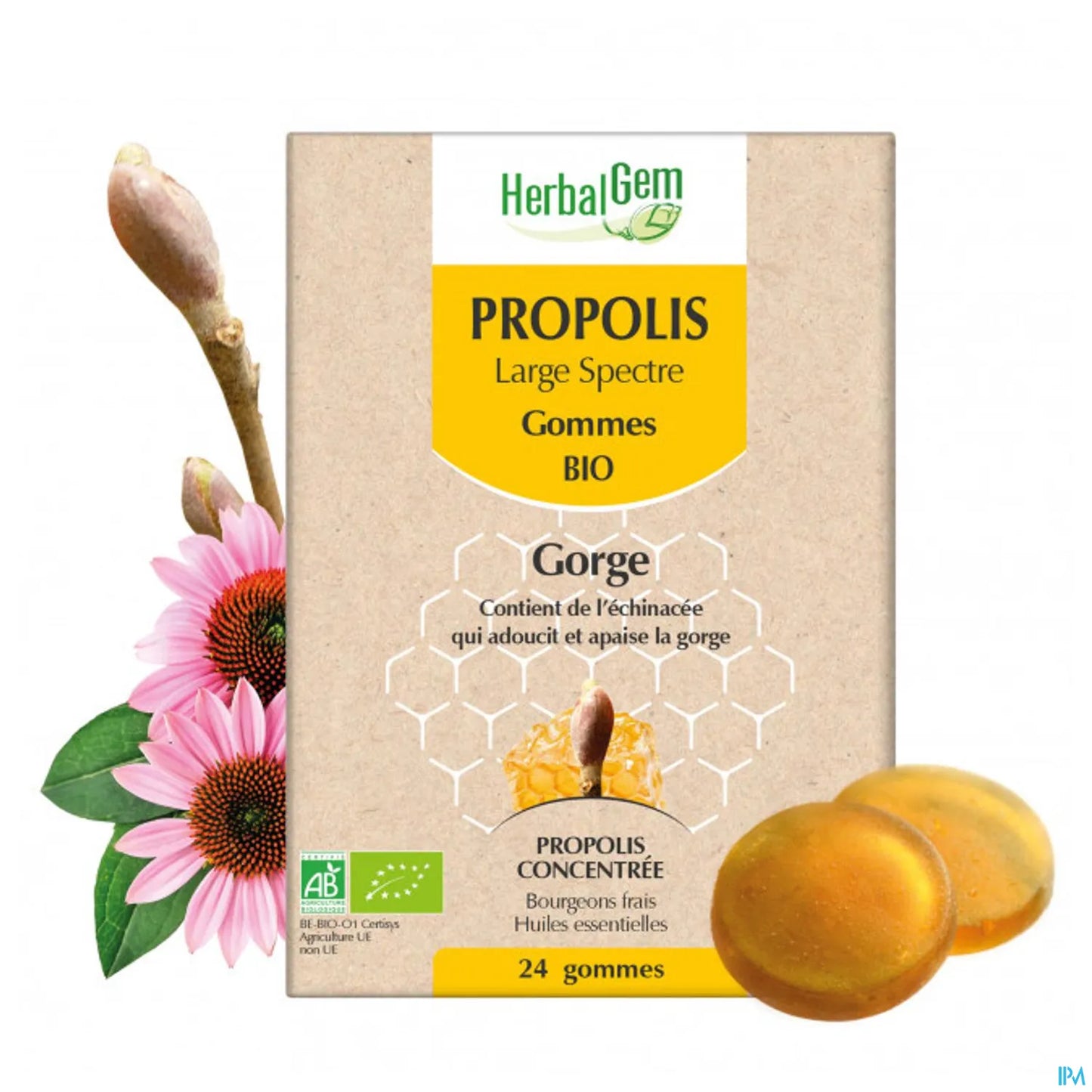 Propolis Large Spectre Gommes Bio 24 Gommes