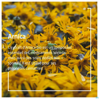 Olio da massaggio all'arnica 200 ml