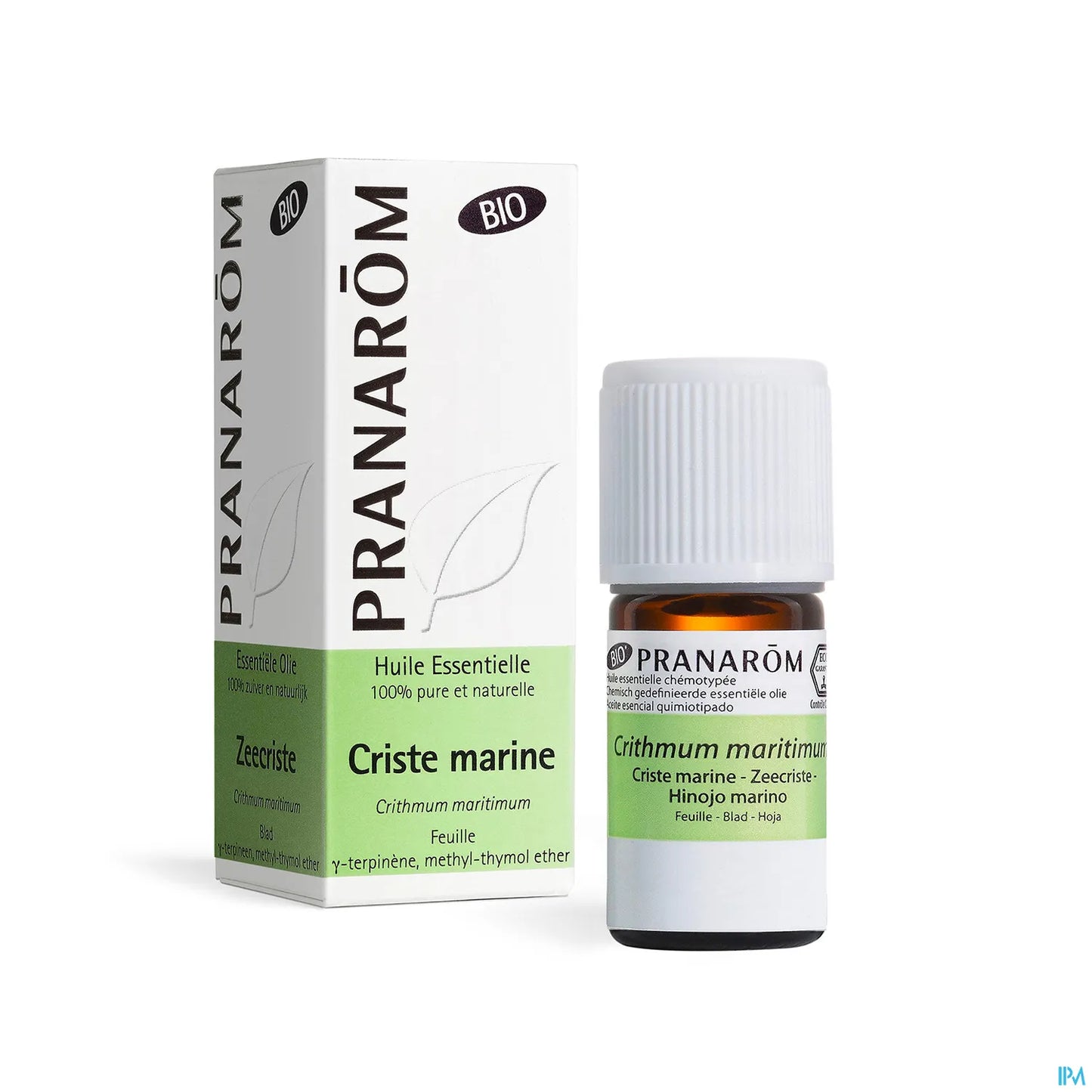Criste Marine Essential Oil 5 mL