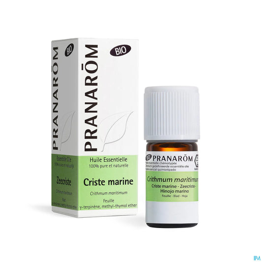 Criste Marine Essential Oil 5 mL
