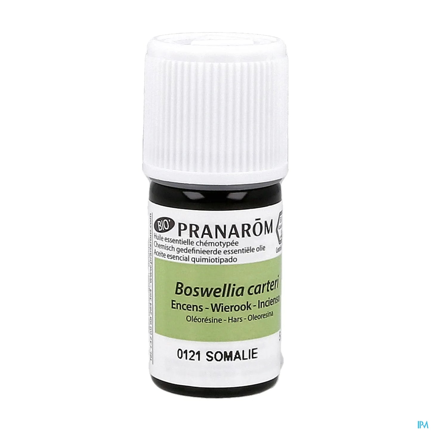 Olio essenziale biologico di incenso della Somalia 5 ml