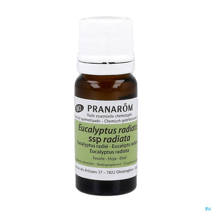 Olio essenziale di foglie di eucalipto radiata 10 ml