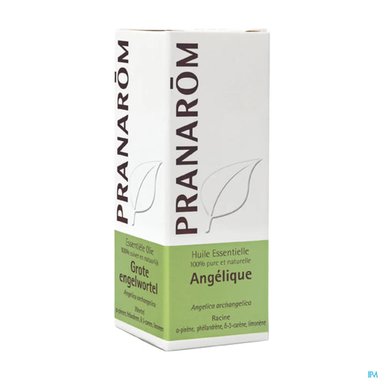 Angelica Essential Oil 5 mL