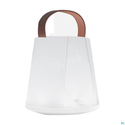 Izzy Portable Ultrasonic Diffuser