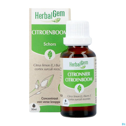 Macerato di gemme di limone biologico 30 ml