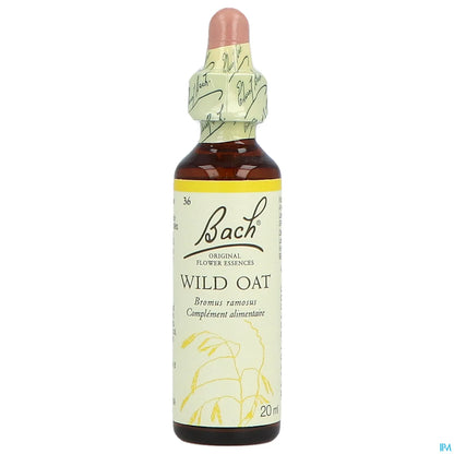 Wild Oat - 20 ml