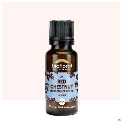 Castagna Rossa 20 mL