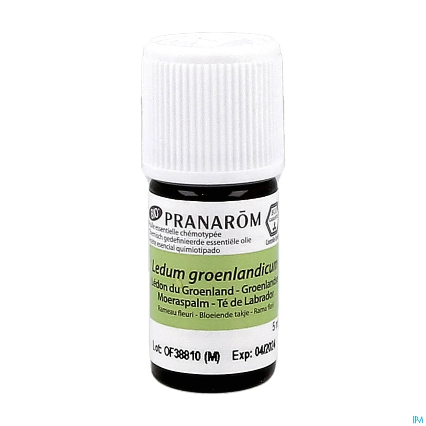 Organic Greenland Ledum Essential Oil 5 mL