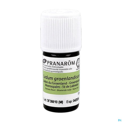 Organic Greenland Ledum Essential Oil 5 mL