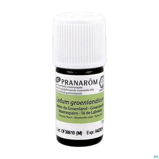 Huile Essentielle Lédon du Groenland Bio 5 mL