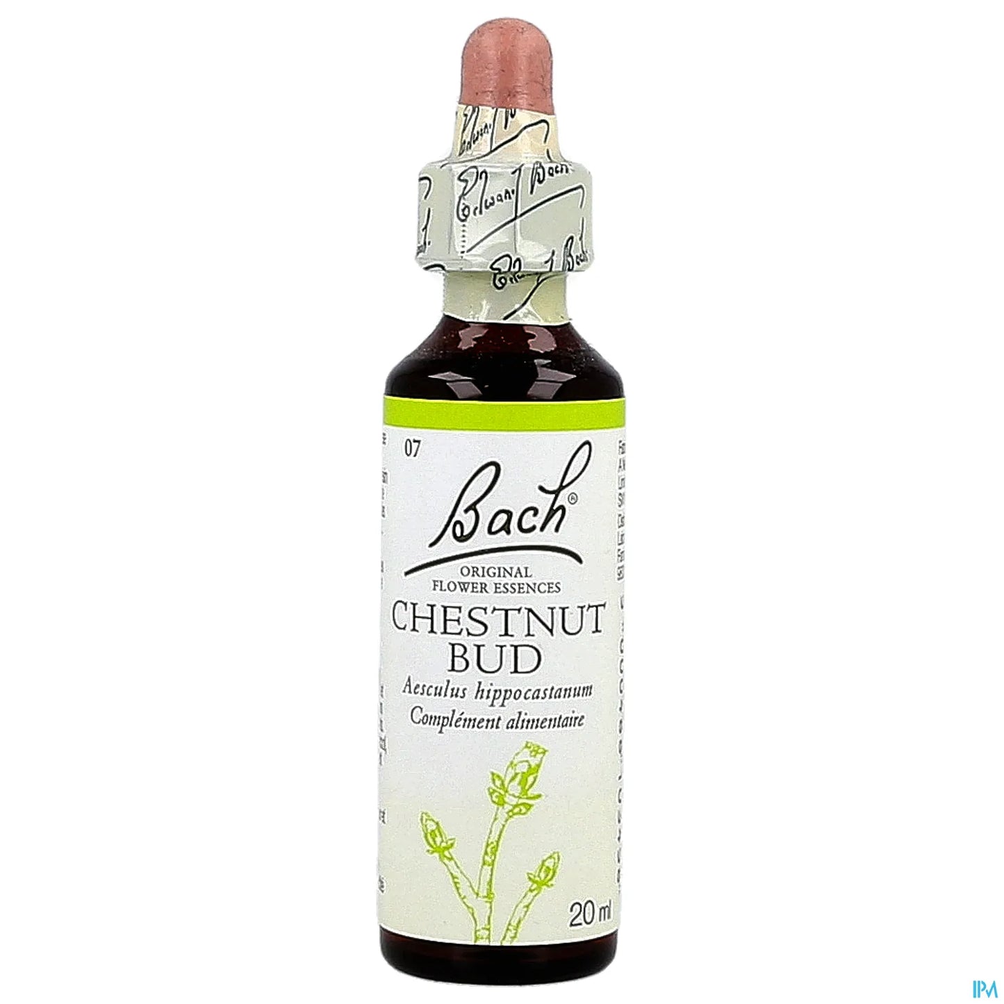Chestnut Bud No. 07 Bach Flowers 20ml