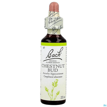 Chestnut Bud No. 07 Bach Flowers 20ml