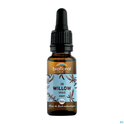 Salice Saule 20 ml