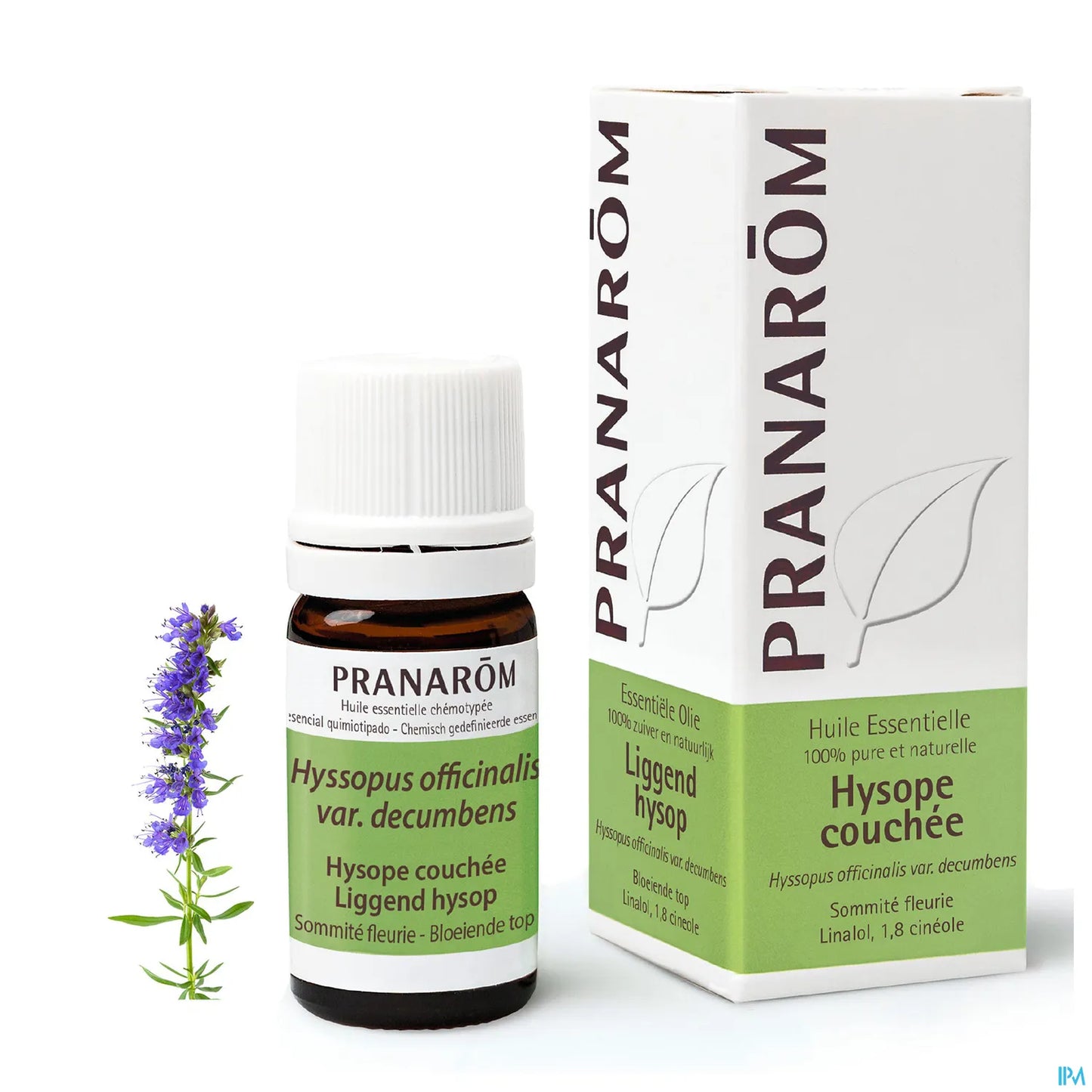 Hyssop Essential Oil 5 mL