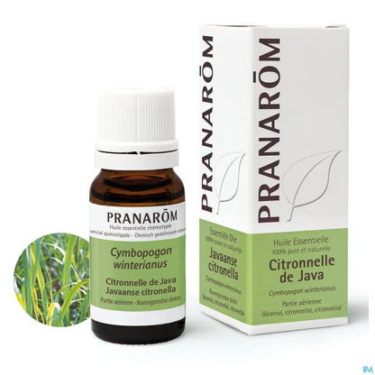 Java Lemongrass 10 mL