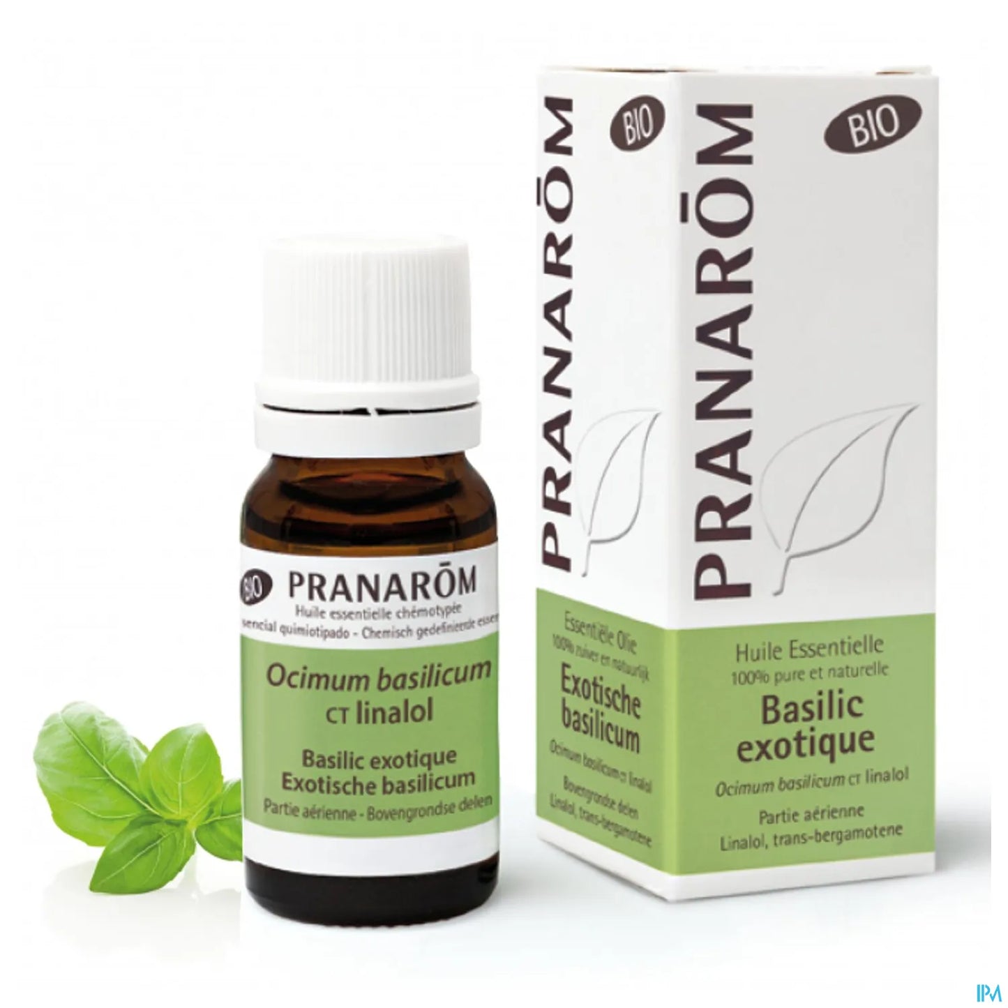Exotic Basil Essential Oil 10ml Organic