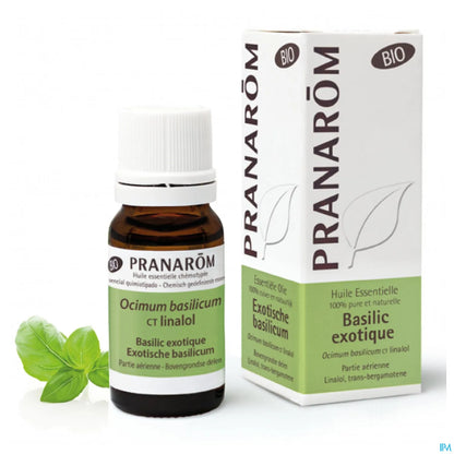 Exotic Basil Essential Oil 10ml Organic