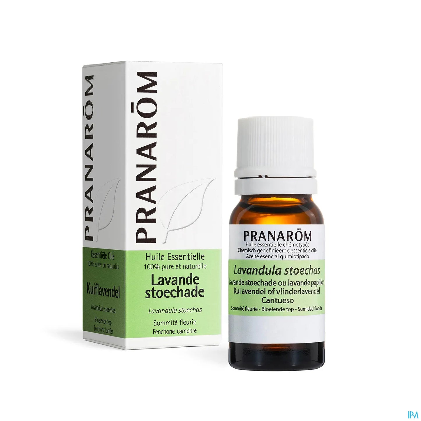 Lavender Stoechade Essential Oil 10 mL
