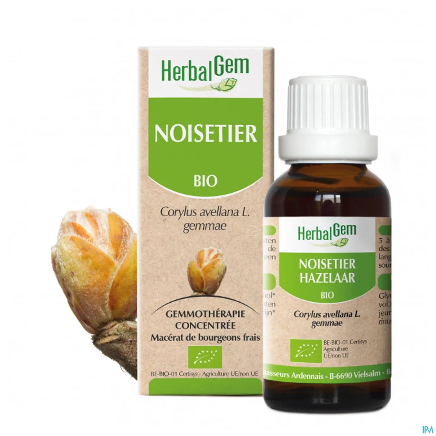 Organic Hazelnut Bud Macerate 30 mL