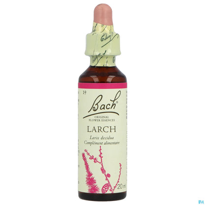 Original No. 19 Larch 20ml