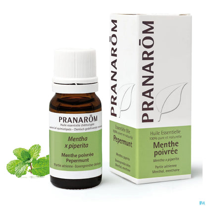 Huile Essentielle Menthe Poivrée 10 mL