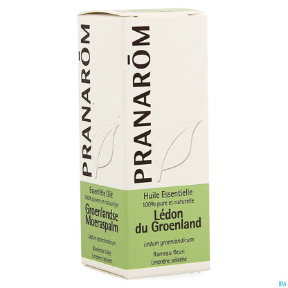 Huile Essentielle Ledon Groenland 5 mL