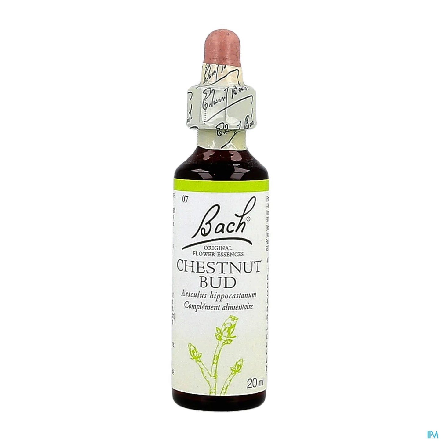 Chestnut Bud No. 07 Bach Flowers 20ml