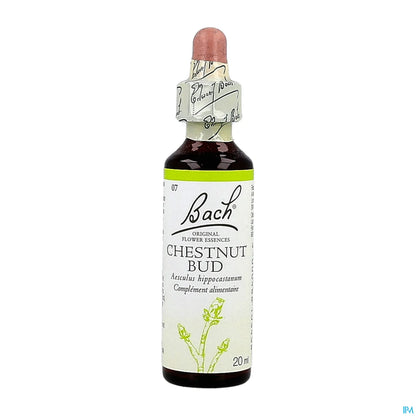 Chestnut Bud No. 07 Bach Flowers 20ml