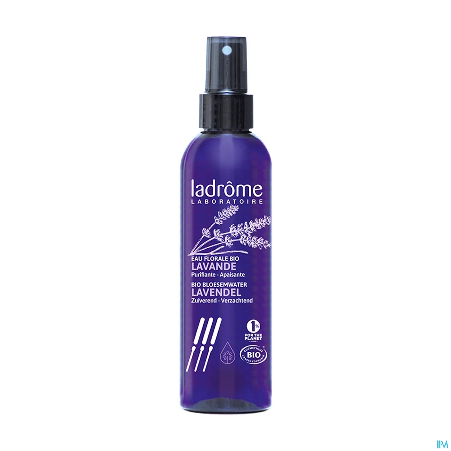 Eau Florale de Lavande Sommité 200ml