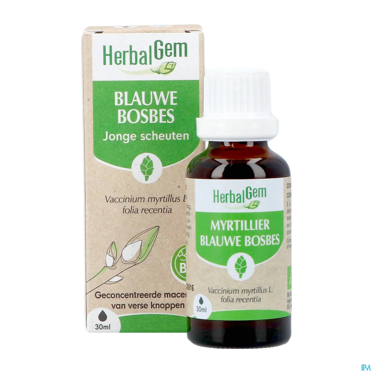 Germogli di mirtillo biologico 30 ml